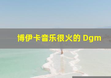 博伊卡音乐很火的 Dgm